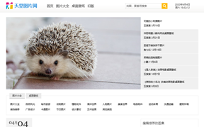 摄图网缩略图 摄图网缩略图