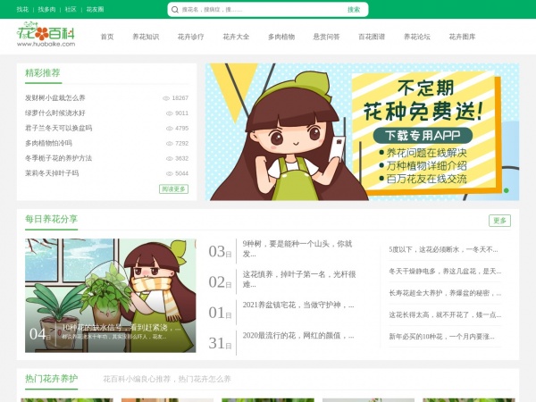 花百科 花百科