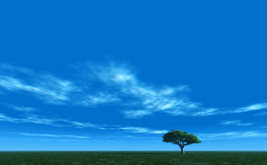 ȫ-֤ȯʱͼƬ